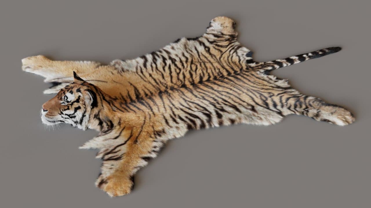 Ray the Rug VFX Fur Development